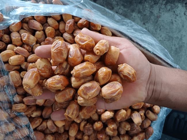 تصویر 4 از خرما زاهدی عمده تازه انتخابی مناسب برای بازارهای مختلف
